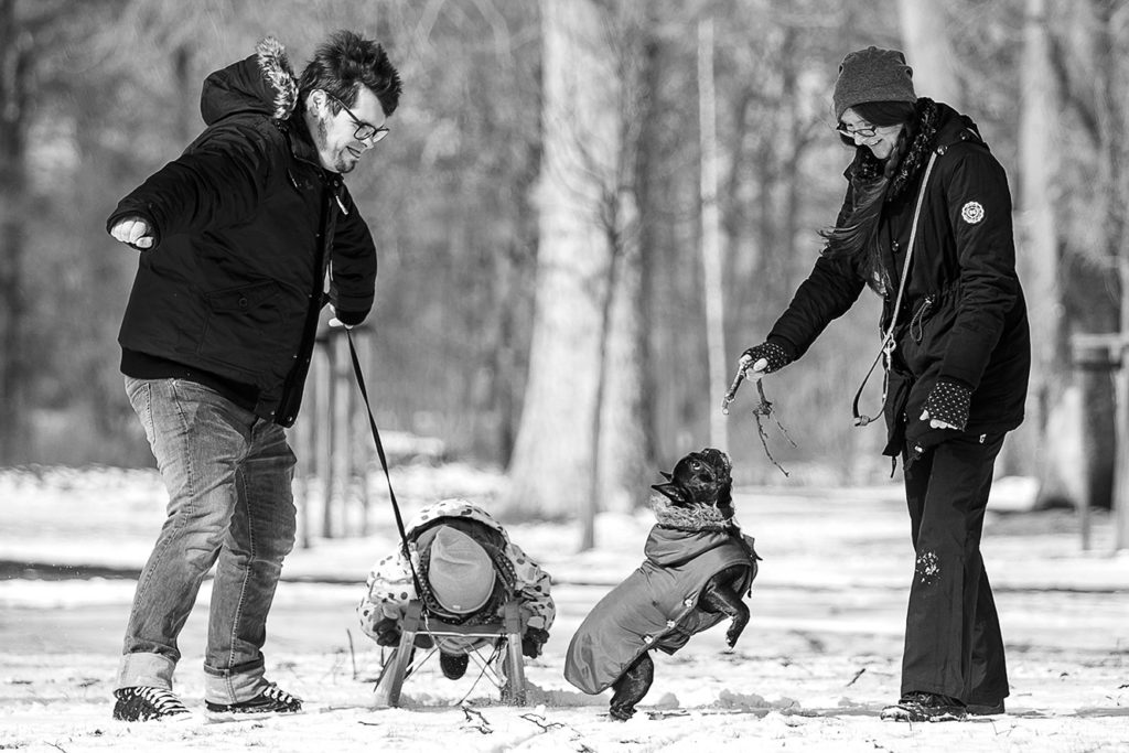 Foto Sens, Portrait, Fotostudio, Fotoatelier, Bewerbungsfoto, Fotograf Wanzleben, Foto, Fotobox, Familien Fotografie, Fotobox mieten